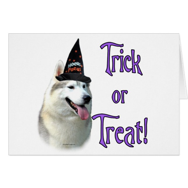 Siberische Husky Trick (Voorkant Horizontaal)