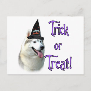 Siberische Husky Trick Briefkaart