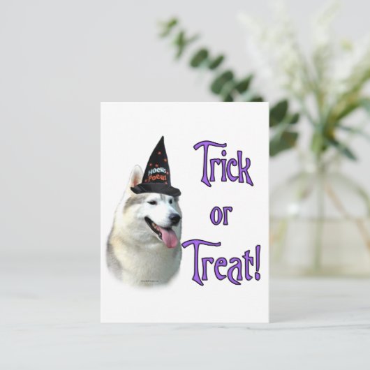 Siberische Husky Trick Briefkaart (Staand voorkant)