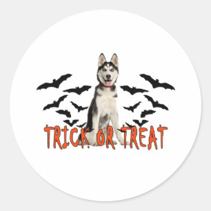 Siberische Husky Trick T Shirten.png Ronde Sticker