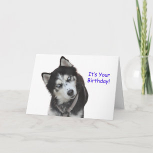 Siberische Husky Verjaardag Kaart
