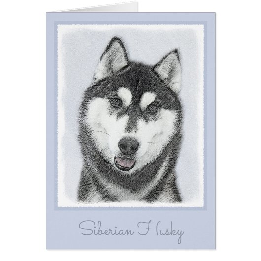 Siberische Husky (zwart en wit) schilderende hond  (Voorkant)