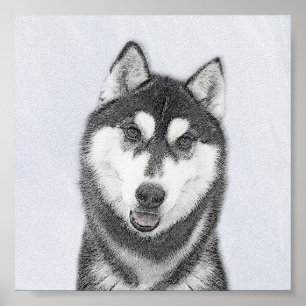Siberische Husky (zwart en wit) schilderende hond  Poster