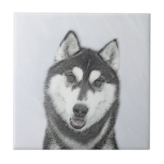 Siberische Husky (zwart en wit) schilderende hond  Tegeltje (Voorkant)