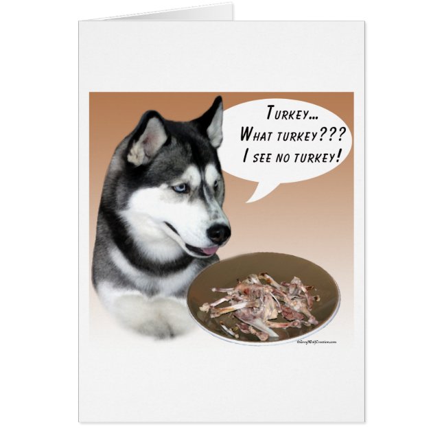 Siberische Husky (zwart) Turkije (Voorkant)