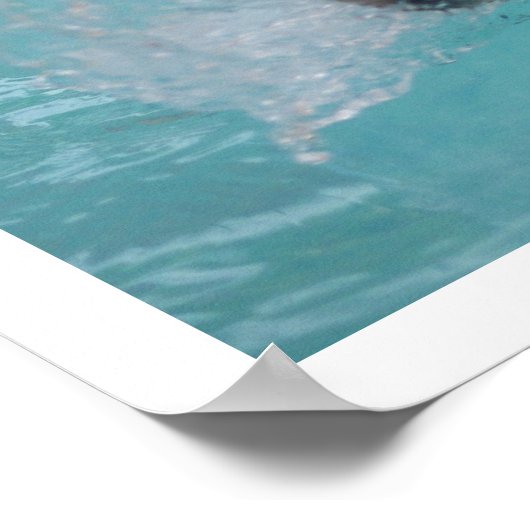 Siberische Husky Zwemt in Zwembad Poster (Hoek)