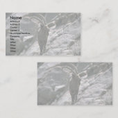 Siberische ibex visitekaartje (Voorkant / Achterkant)