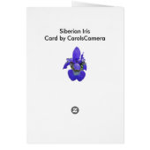 Siberische iriscoördinatiepunten (Achterkant)