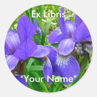 Siberische iriscoördinatiepunten ronde sticker