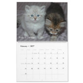 Siberische kalender 2009 (Feb 2027)