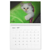 Siberische kalender 2009 (Mar 2027)