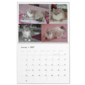 Siberische kalender 2009 (Jan 2027)