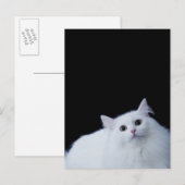 Siberische kat briefkaart (Voorkant / Achterkant)