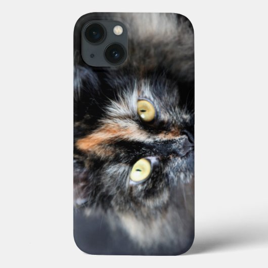 Siberische kat Case-Mate iPhone case (Achterkant)