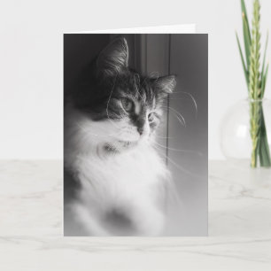 Siberische kat denkt aan je Kaart