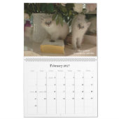 Siberische kat en Kittens Agenda B 2010 Kalender (Feb 2027)