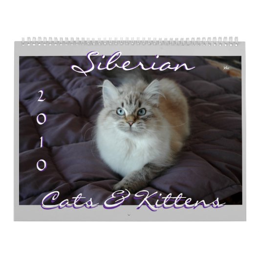Siberische kat en Kittens kalender 2010 (Hoes)