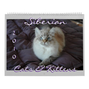 Siberische kat en Kittens kalender 2010