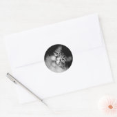 Siberische kat envelop afdichtingen ronde sticker (Envelop)