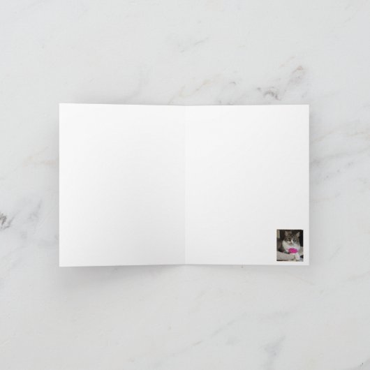 Siberische kat kaart (Binnen)