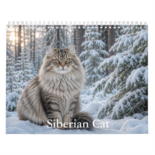 Siberische Kat Kalendar Kalender (Hoes)