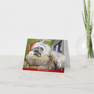 Siberische Kat Kerst Kaart