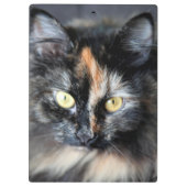 Siberische kat klembord (Achterkant)