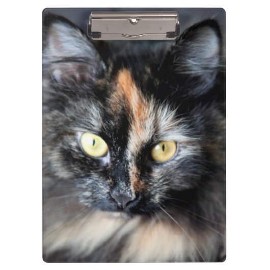 Siberische kat klembord (Voorkant)