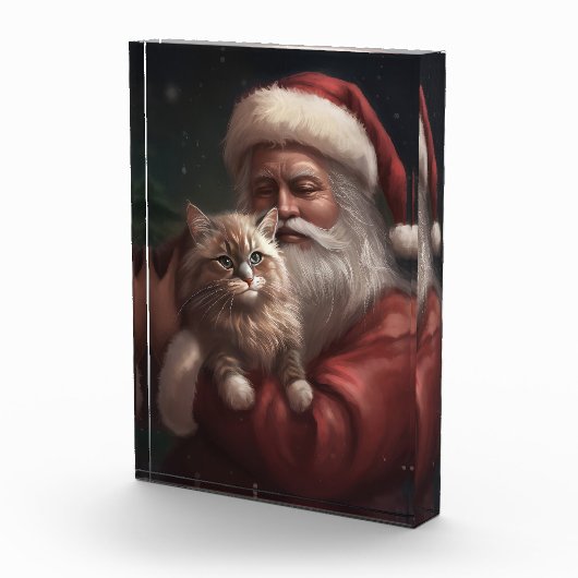Siberische Kat Met Sinterklaas Feestelijke Kerstmi Fotoblokken (Rechts)