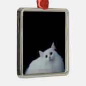 Siberische kat metalen ornament (Rechts)