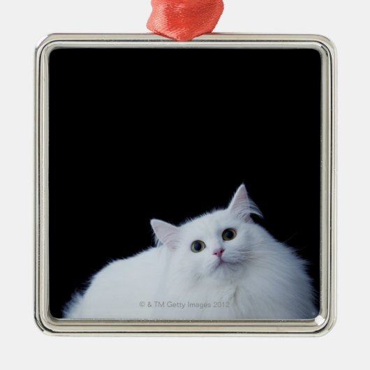 Siberische kat metalen ornament (Voorkant)