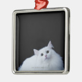 Siberische kat metalen ornament (Links)