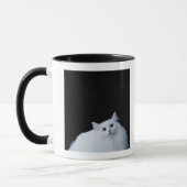 Siberische kat mok (Links)