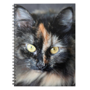 Siberische kat notitieboek