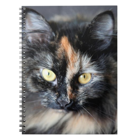 Siberische kat notitieboek (Voorkant)