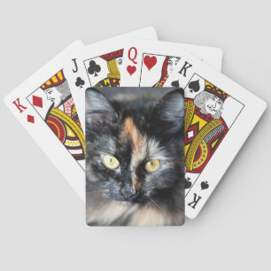 Siberische Kat Pokerkaarten