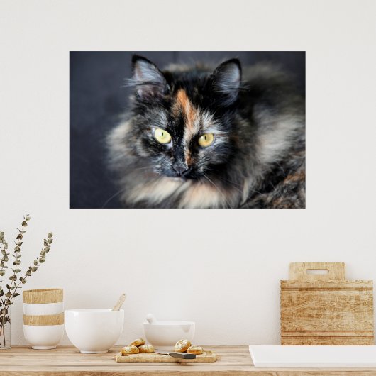 Siberische kat poster (Keuken)