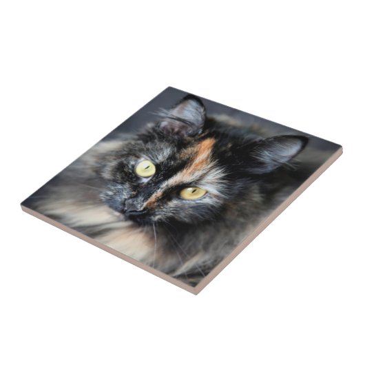 Siberische kat tegeltje (Zijkant)