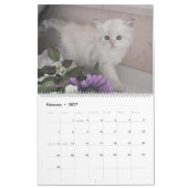 Siberische kats Kittens 2012 - Agenda 2013 Kalender (Feb 2027)
