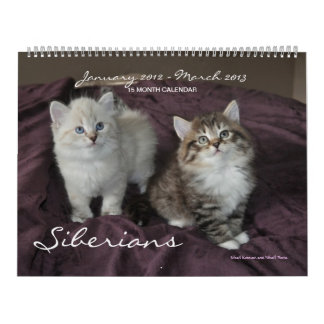 Siberische kats Kittens 2012 - Agenda 2013 Kalender