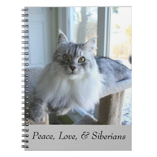 Siberische kattelaptop notitieboek (Voorkant)