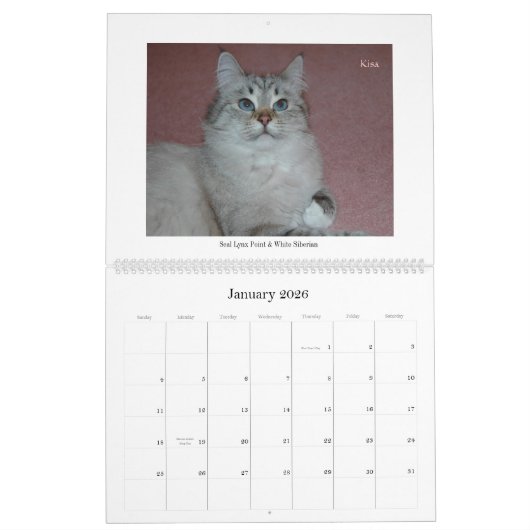 Siberische katten en kalender voor Kittens Final2 (Jan 2026)