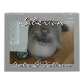 Siberische katten en kalender voor Kittens Final2 (Hoes)
