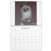 Siberische katten en Kittens 09-kalender Kalender (Feb 2027)