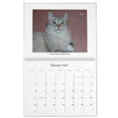 Siberische katten en Kittens 09-kalender Kalender (Jan 2027)