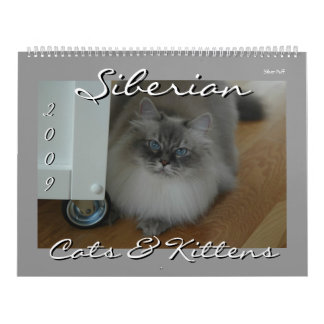 Siberische katten en Kittens 09-kalender Kalender