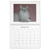 Siberische katten en Kittens 09-kalender Kalender (Jan 2026)