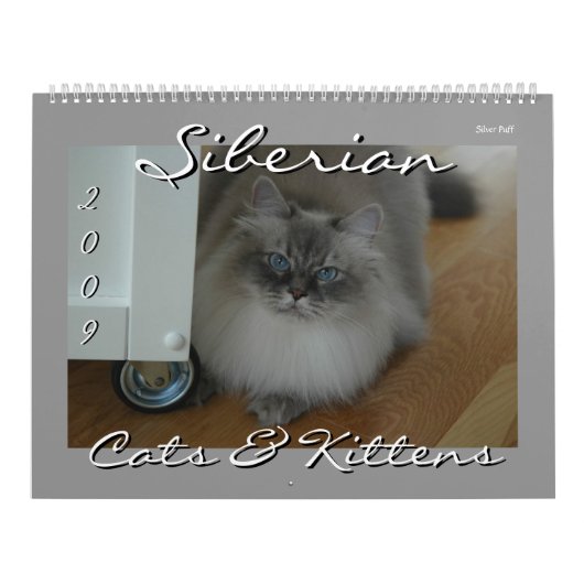 Siberische katten en Kittens 09-kalender Kalender (Hoes)