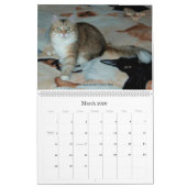 Siberische katten en Kittens 09-kalender Kalender (Mar 2026)