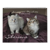 Siberische katten Kittens Jan2012 - Kalender maart (Hoes)